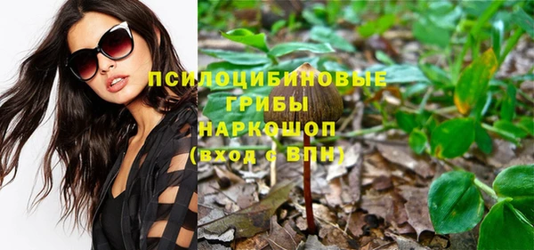 спиды Инта