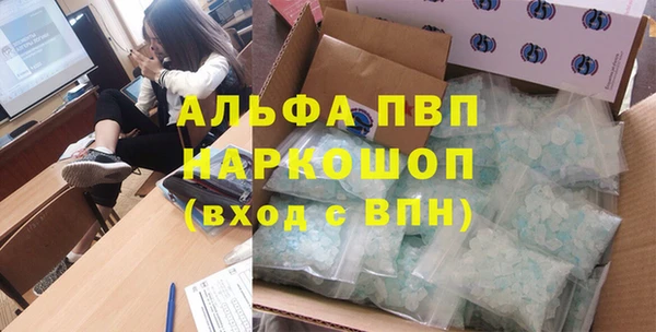 спиды Инта