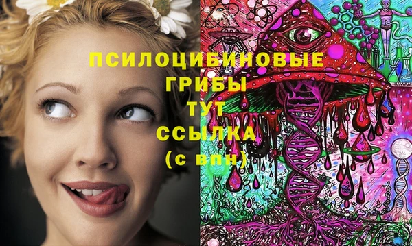спиды Инта