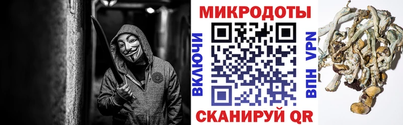 Псилоцибиновые грибы Cubensis  Кунгур 