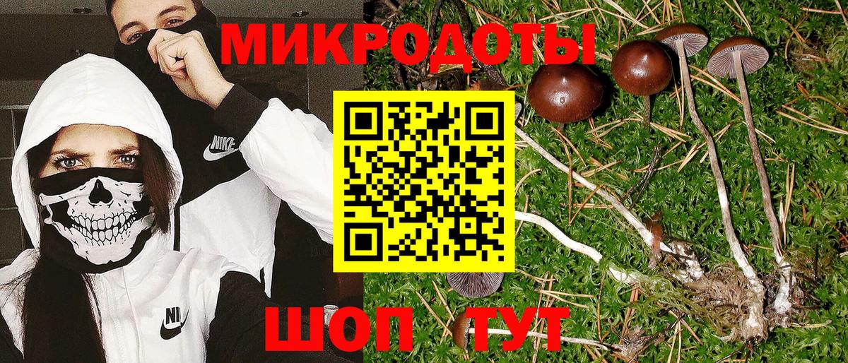 Псилоцибиновые грибы Psilocybe  Вход с VPN  Галлюциногенные грибы мицелий  Кунгур 